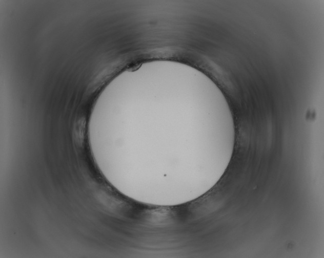 X0000091860118200710031709