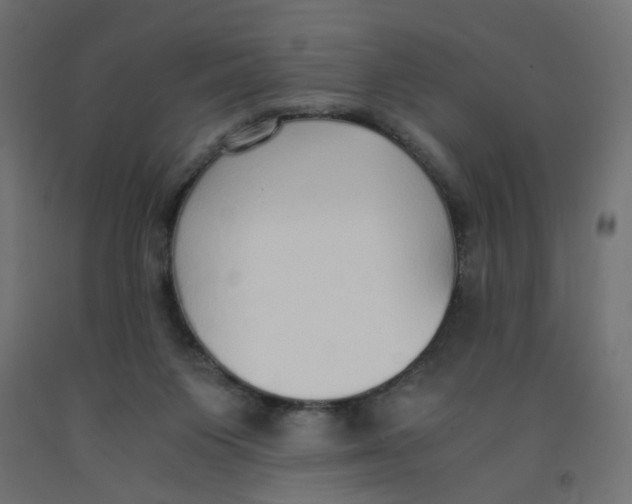 X0000091860119200710031709