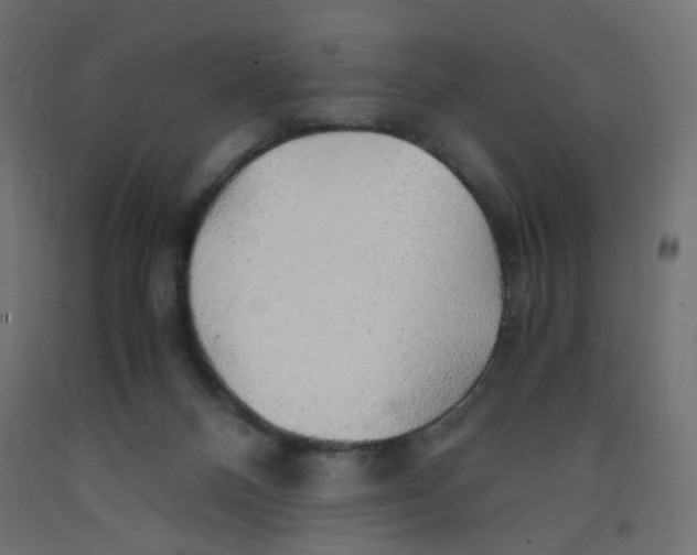 X0000091860120200710031709