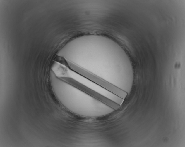 X0000091860121200710031709