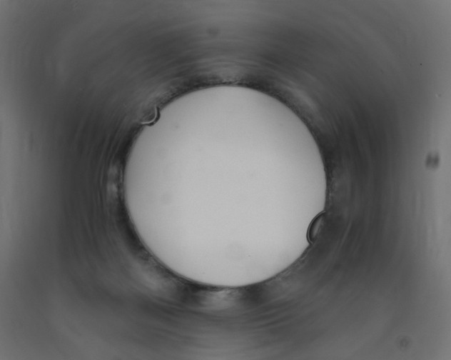 X0000091860122200710031709