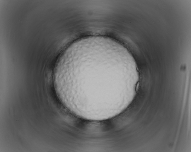 X0000091860123200710031709