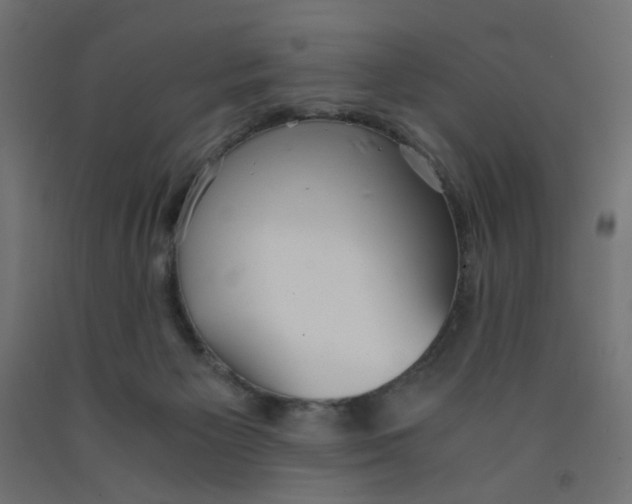 X0000091860125200710031709