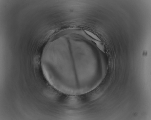 X0000091860127200710031709