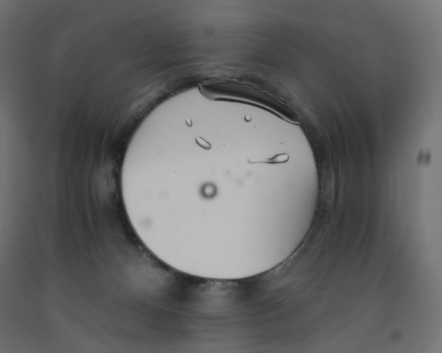 X0000091860128200710031709