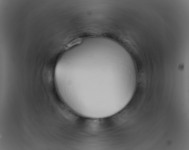 X0000091860131200710031709