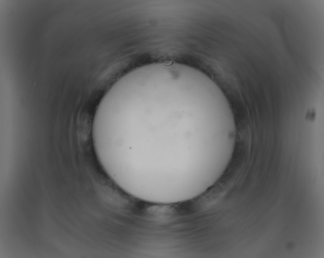 X0000091860133200710031709