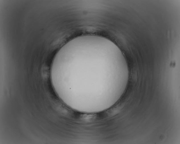 X0000091860135200710031709