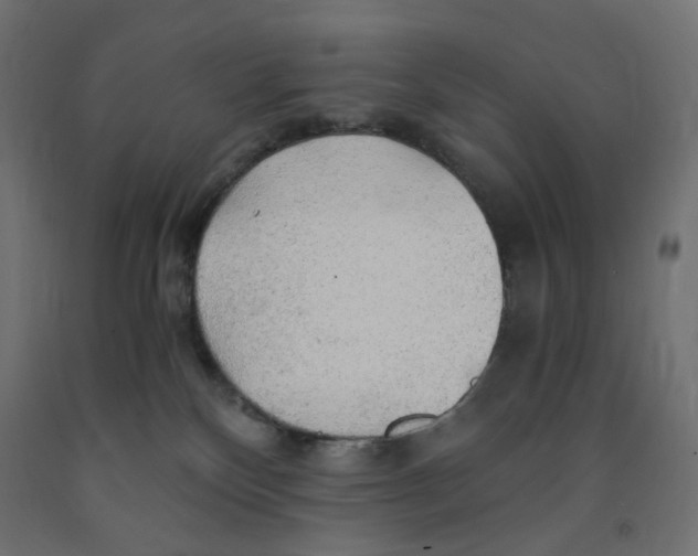 X0000091860136200710031709