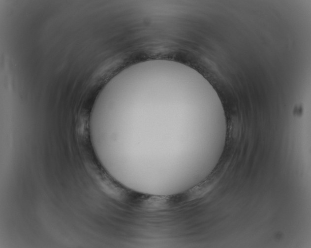 X0000091860138200710031709