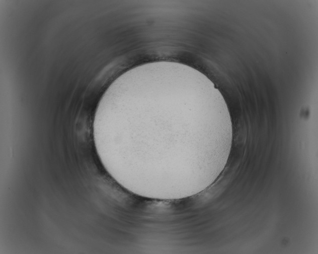 X0000091860140200710031709