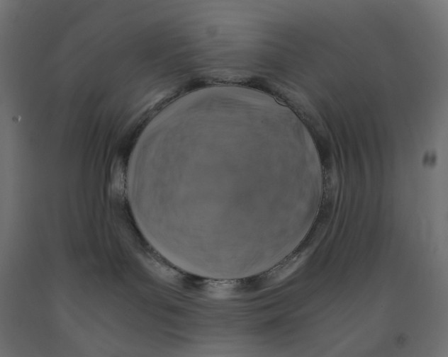 X0000091860143200710031709