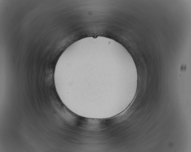 X0000091860144200710031709