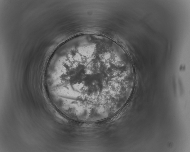 X0000091860145200710031708