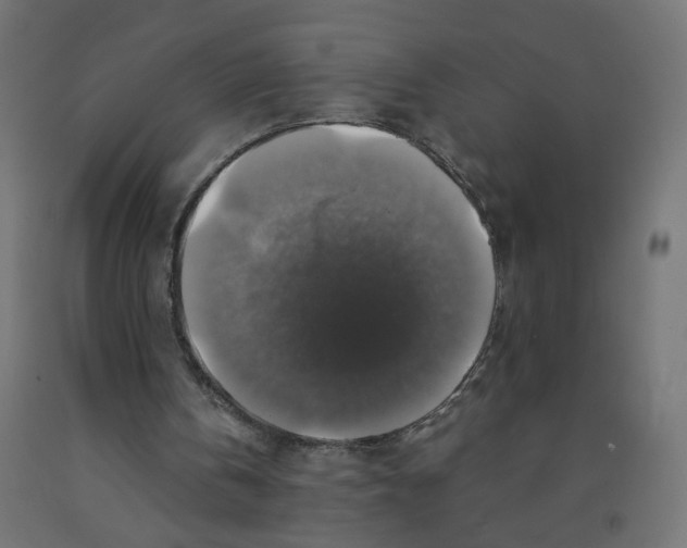 X0000091860146200710031708