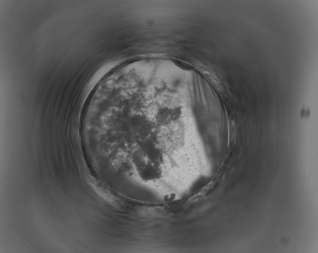 X0000091860147200710031708