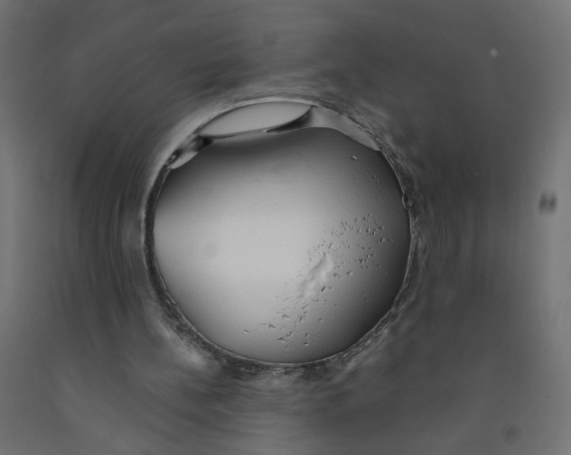 X0000091860148200710031708