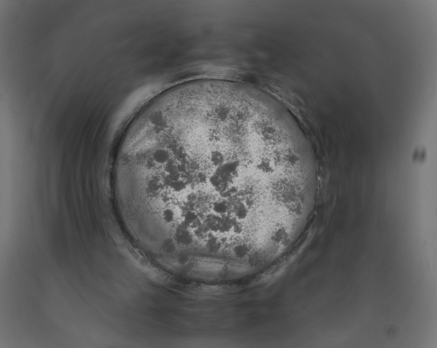 X0000091860149200710031708