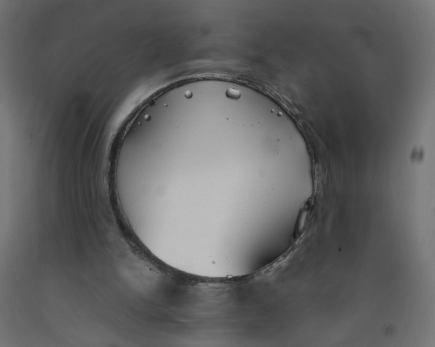 X0000091860150200710031708