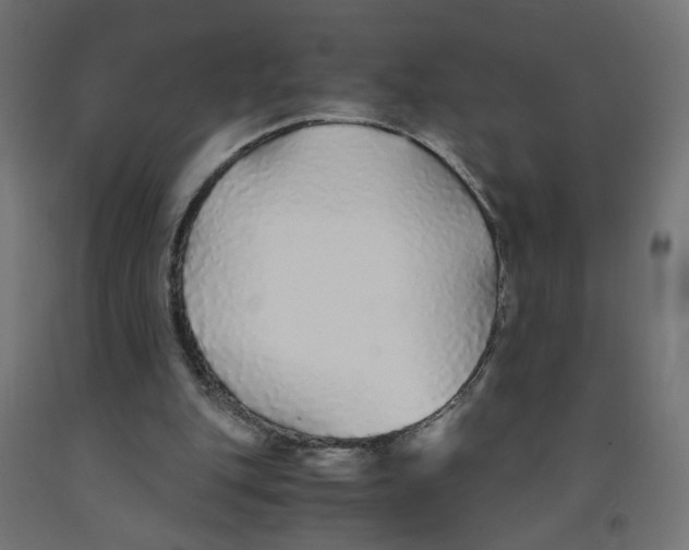 X0000091860151200710031708