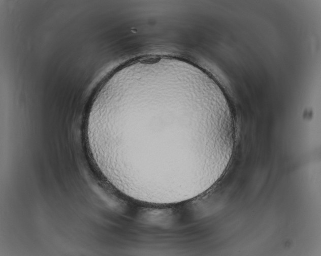 X0000091860155200710031708