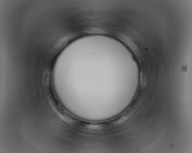 X0000091860157200710031708