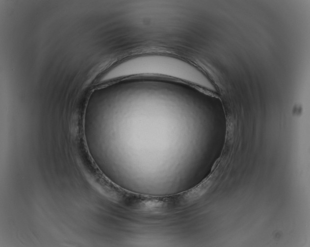 X0000091860158200710031708