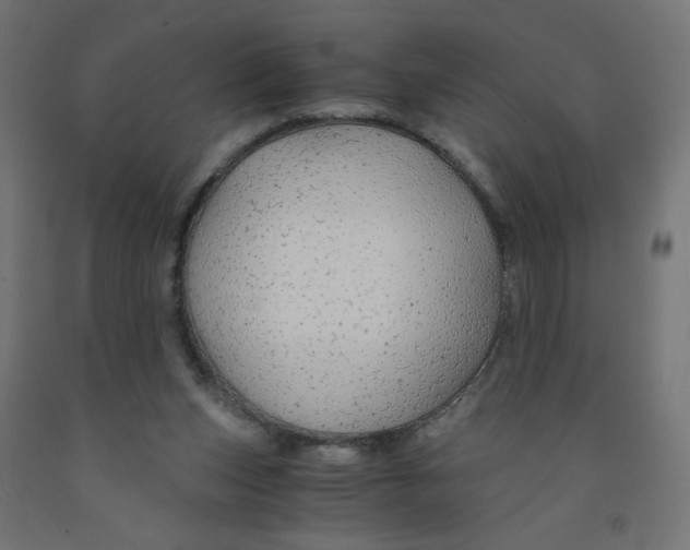 X0000091860159200710031708