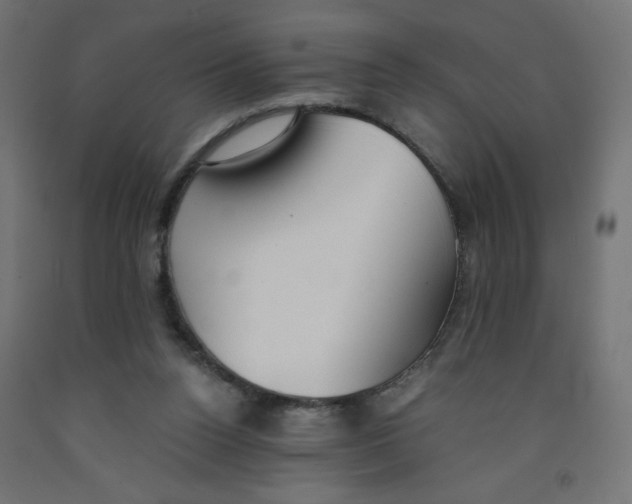 X0000091860160200710031708