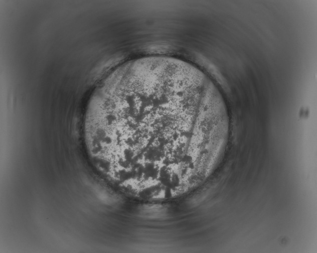 X0000091860161200710031708