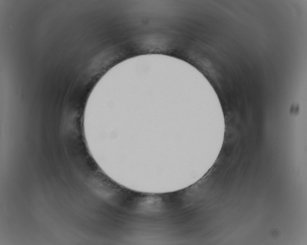 X0000091860162200710031708