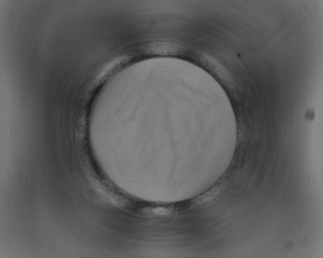 X0000091860163200710031708