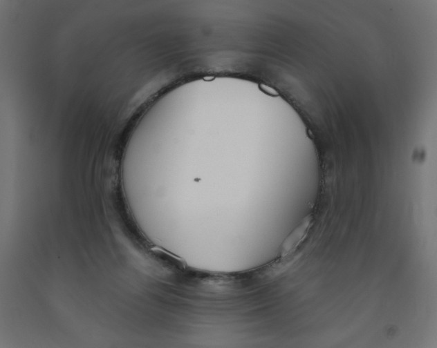 X0000091860164200710031708