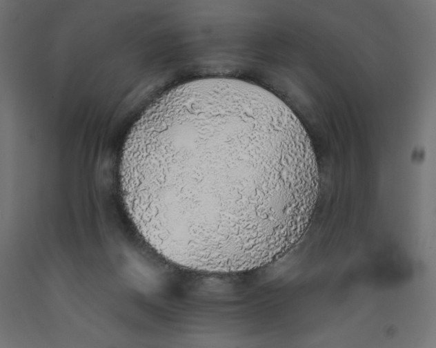 X0000091860166200710031708