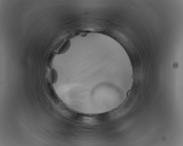 X0000091860167200710031708