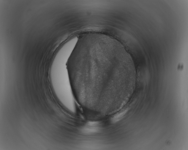 X0000091860168200710031708