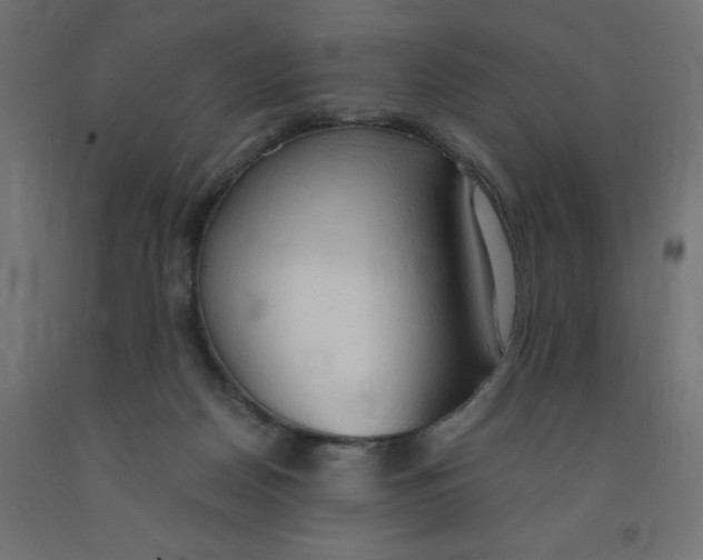 X0000091860170200710031708