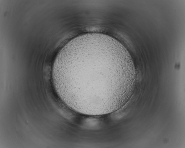 X0000091860171200710031708