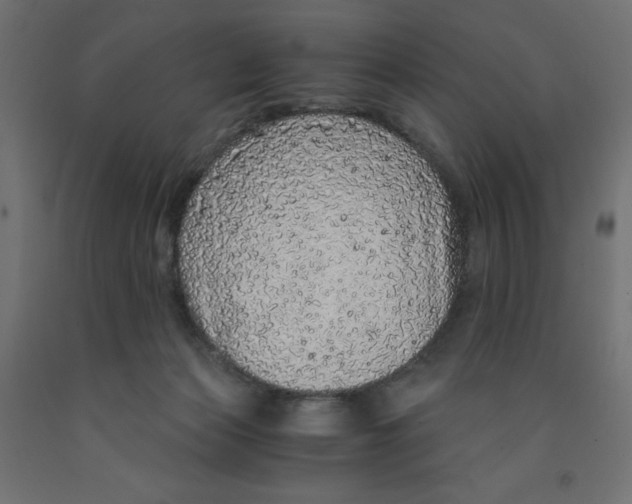 X0000091860173200710031708