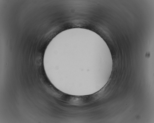 X0000091860174200710031708