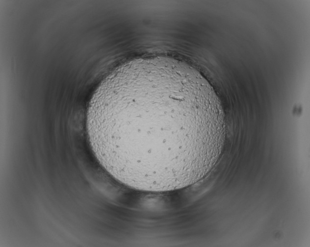 X0000091860175200710031708