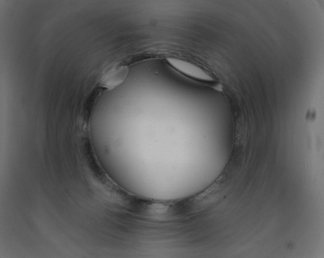 X0000091860176200710031708