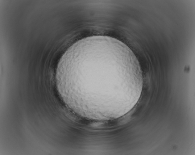 X0000091860178200710031708