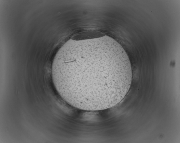 X0000091860179200710031709