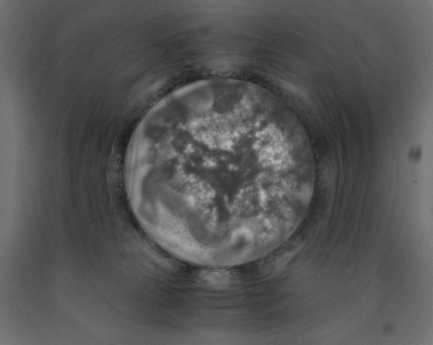 X0000091860181200710031709