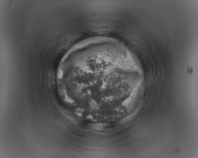 X0000091860182200710031709