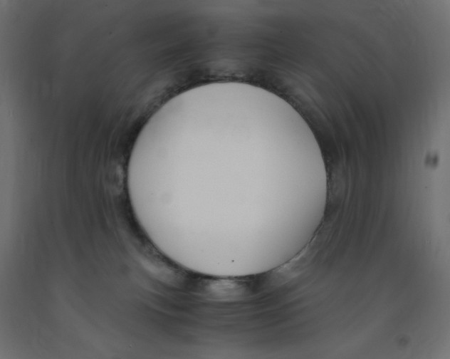 X0000091860183200710031709