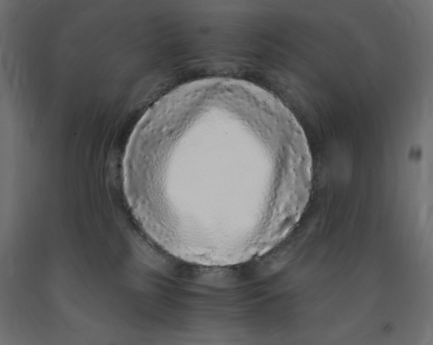 X0000091860185200710031709