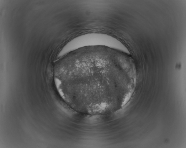 X0000091860186200710031709