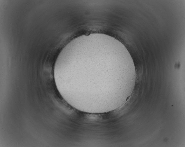 X0000091860187200710031709